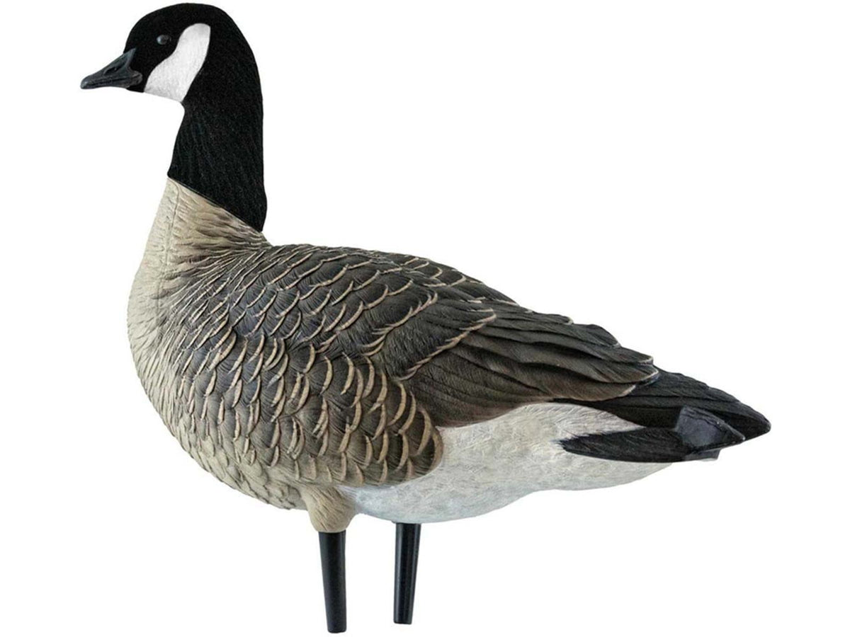 Avian X Outfitter Pack AXF Lessers Decoy