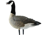 Avian X Outfitter Pack AXF Lessers Decoy