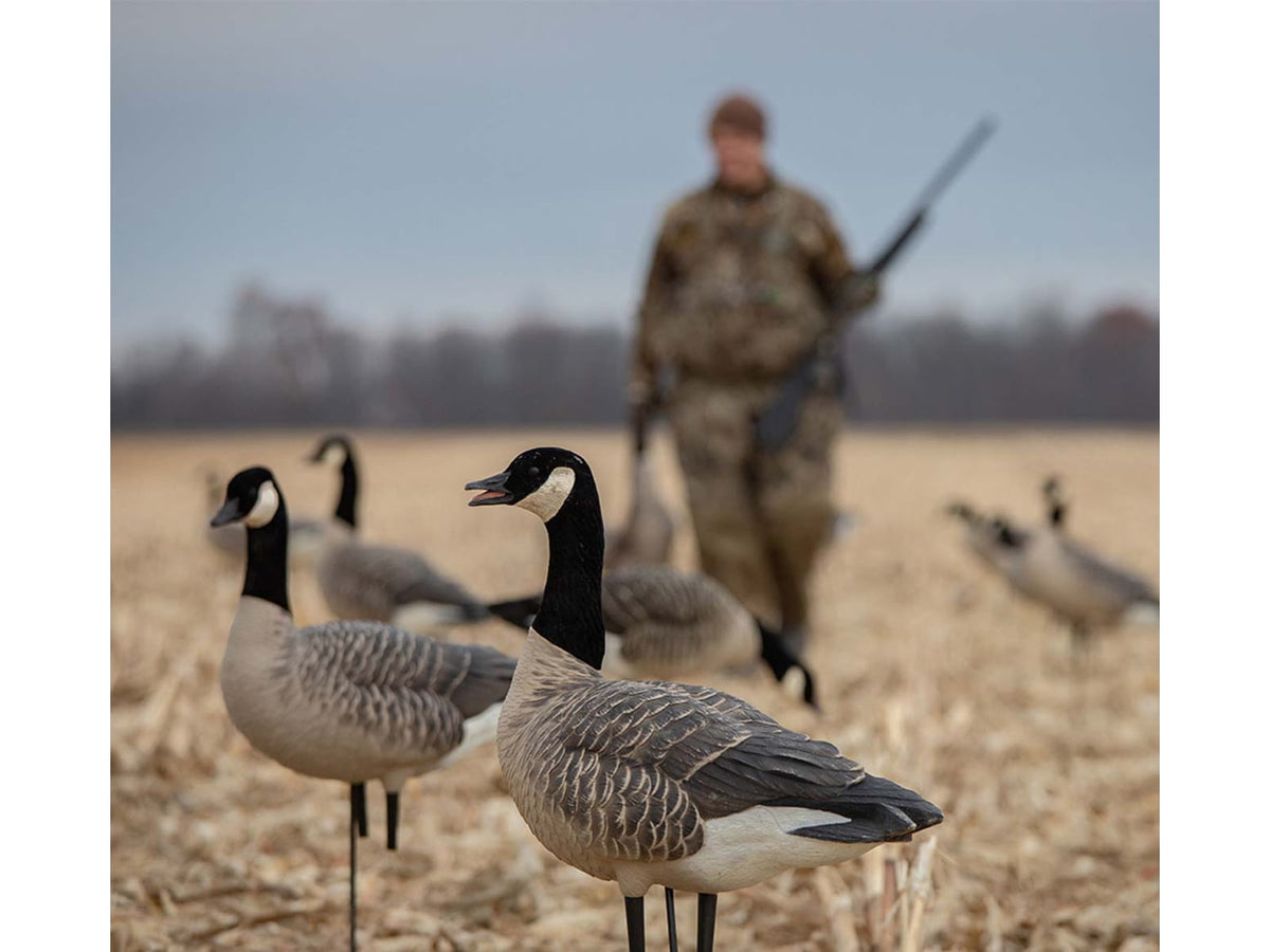 Avian X Outfitter Pack AXF Lessers Decoy