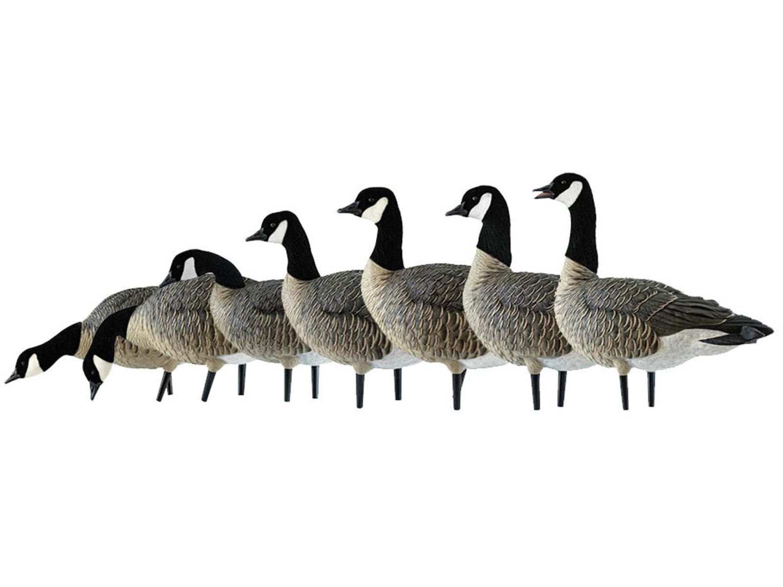 Avian X Outfitter Pack AXF Lessers Decoy