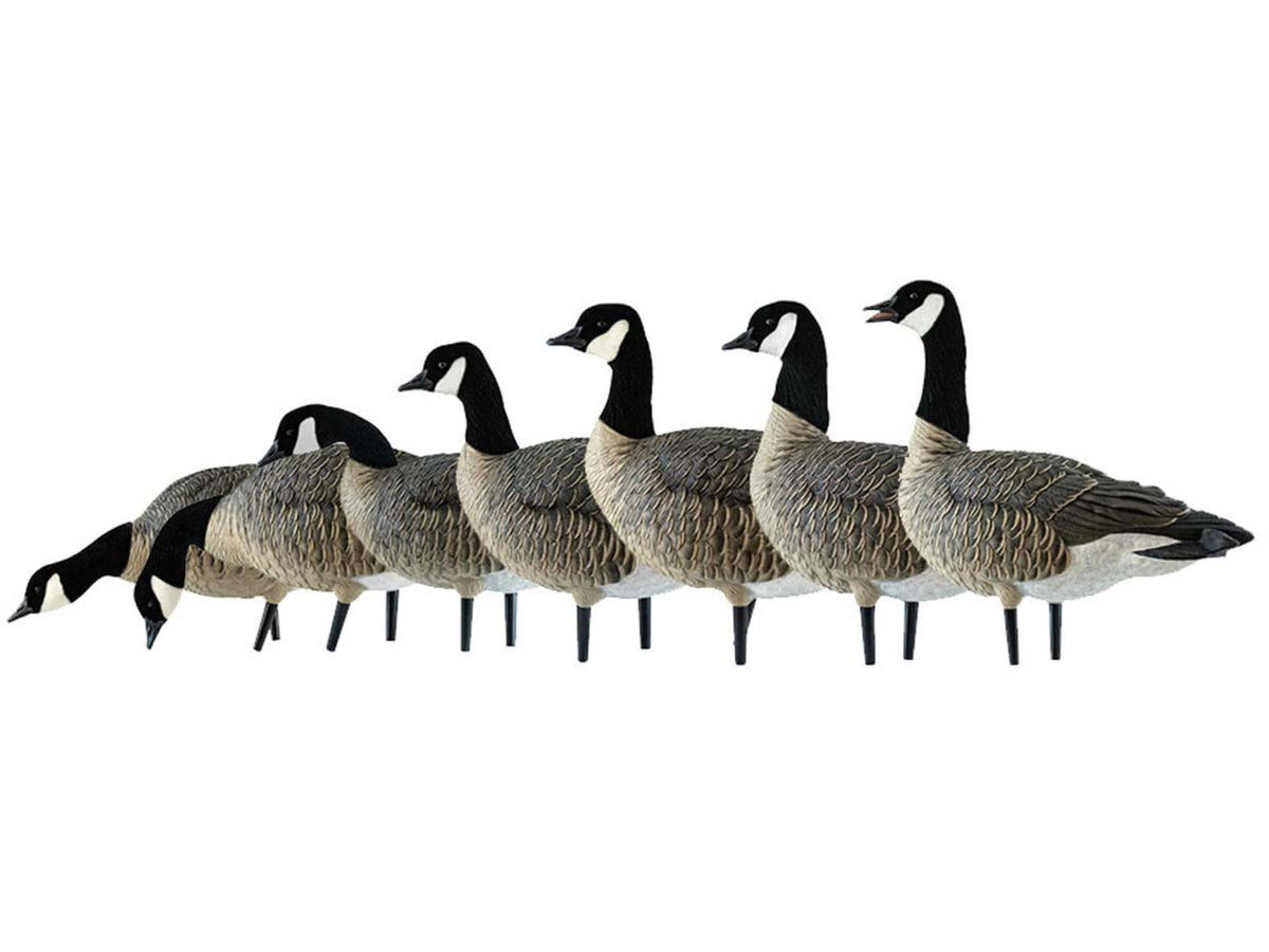 Avian X Outfitter Pack AXF Lessers Decoy