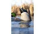 Avian X Power Butt Kicker Duck Decoy Drake Mallard Brown AVX-PBKD