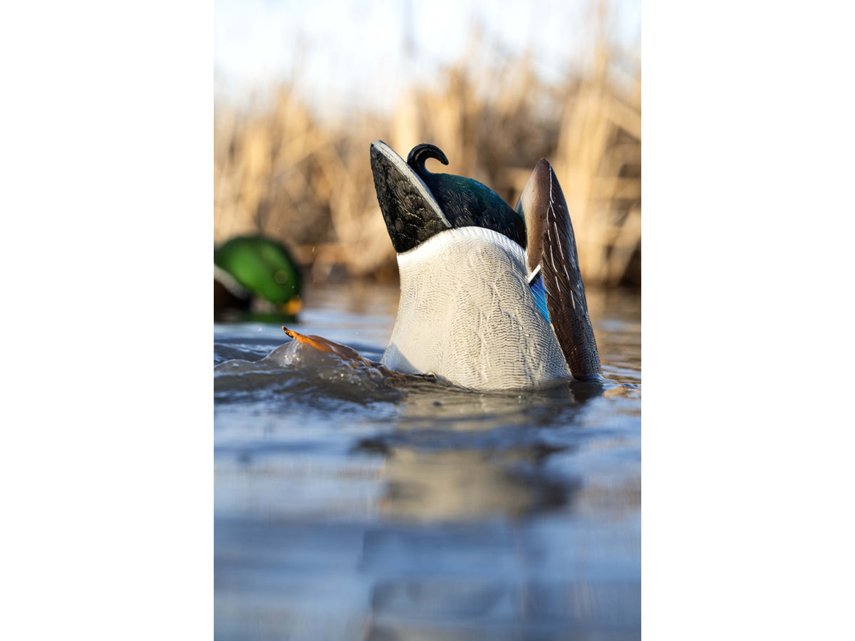 Avian X Power Butt Kicker Duck Decoy Drake Mallard Brown AVX-PBKD