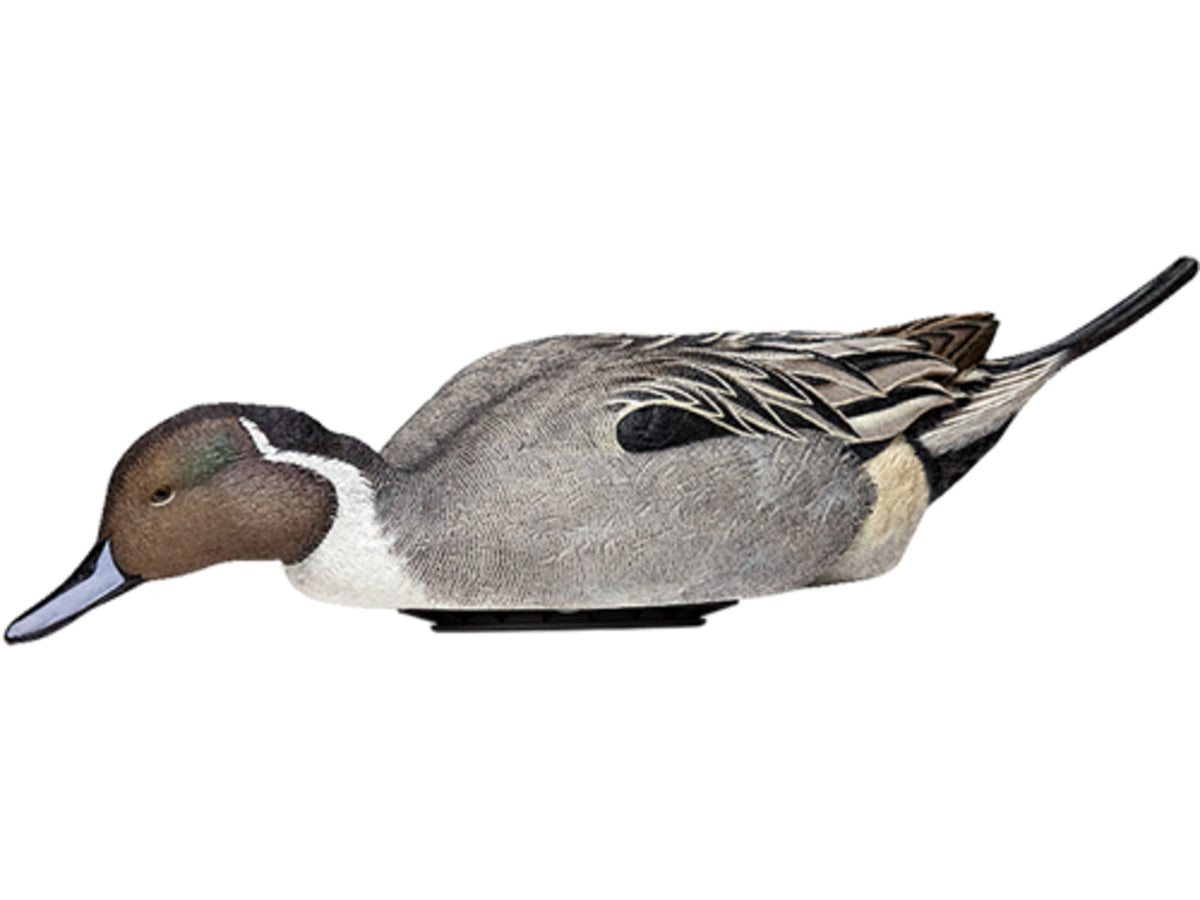 Avian X Power Shaker Pintail Surface Feeder Decoy Synthetic AVXPSHPNSF