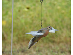 Avian X Powerflight Robo Dove Decoy w/ Spinning Wings AVX-AVXDP102