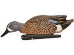 Avian X Topflight Blue-Winged Teal Decoy AVX-AVX8080