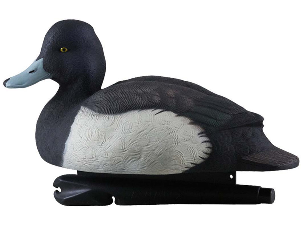 Avian X Topflight Bluebills Decoy