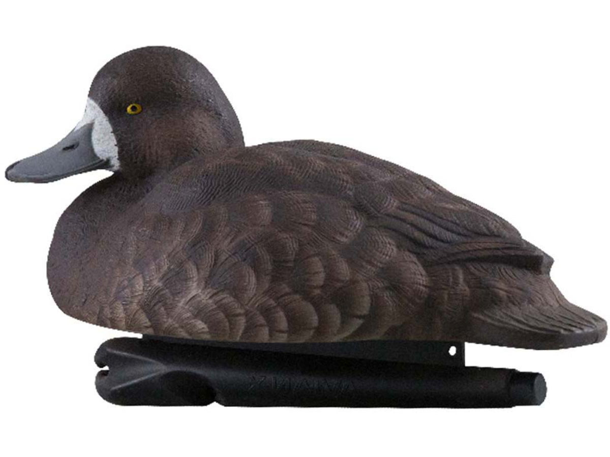 Avian X Topflight Bluebills Decoy