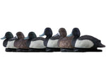 Avian X Topflight Bluebills Decoy