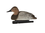 Avian X Topflight Floating Canvasback Black AVX-AVX8086