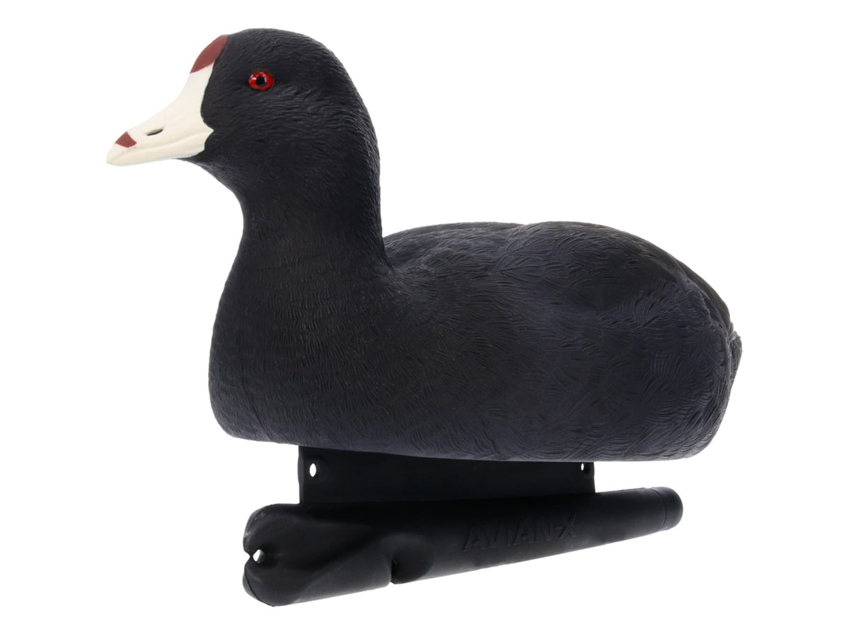 Avian X Topflight Floating Decoy Black AVX-COOT