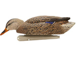 Avian X Topflight Fusion Mallards Decoy AVX-AVX8076