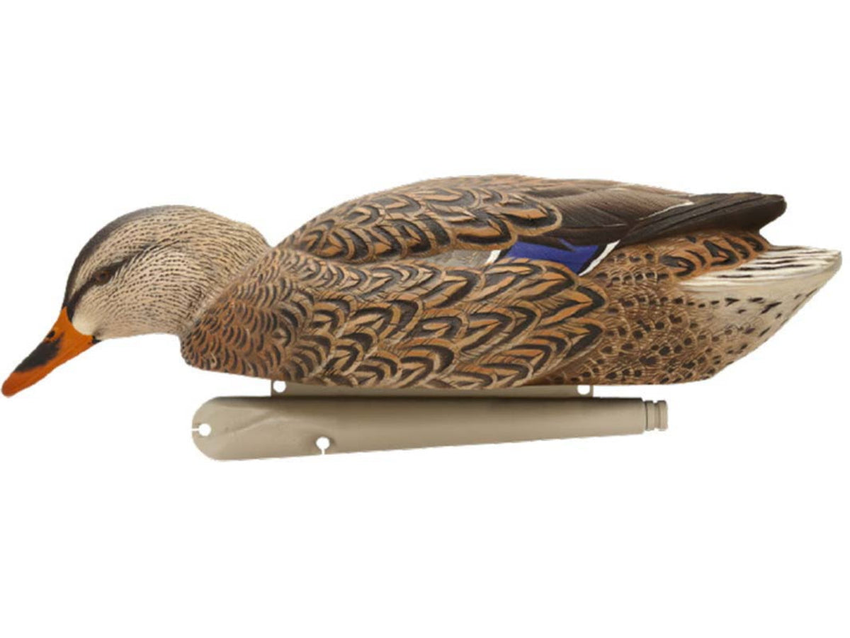Avian X Topflight Fusion Mallards Decoy AVX-AVX8076