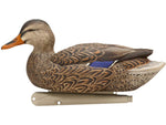 Avian X Topflight Fusion Mallards Decoy AVX-AVX8076