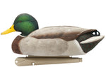 Avian X Topflight Fusion Mallards Decoy AVX-AVX8076