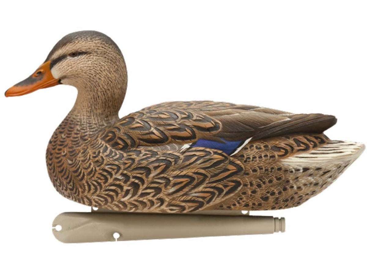 Avian X Topflight Fusion Mallards Decoy AVX-AVX8076