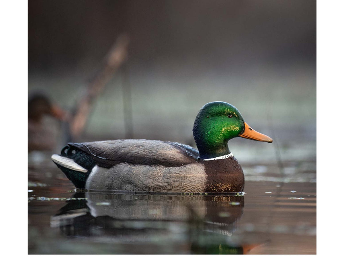 Avian X Topflight Fusion Mallards Decoy AVX-AVX8076