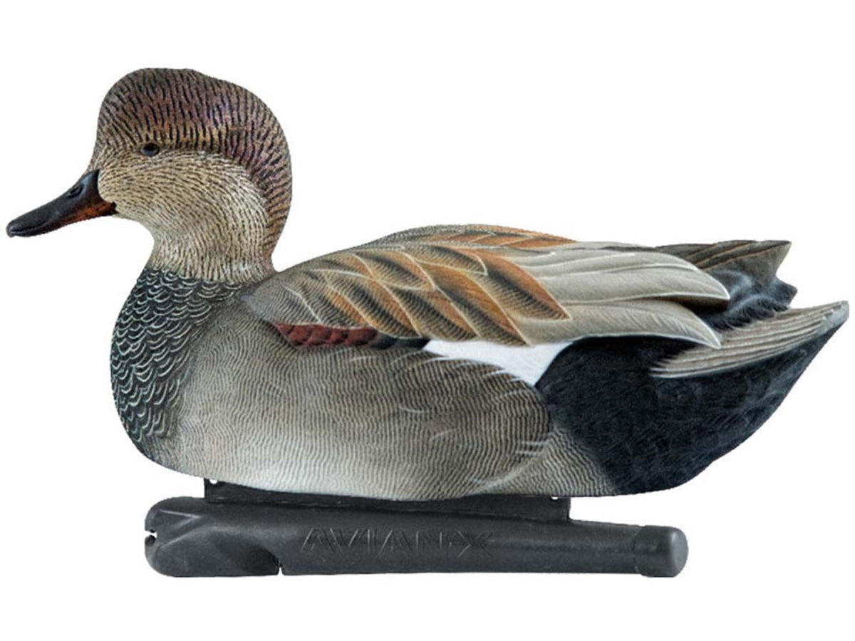 Avian X Topflight Gadwall Decoy AVX-AVX8085