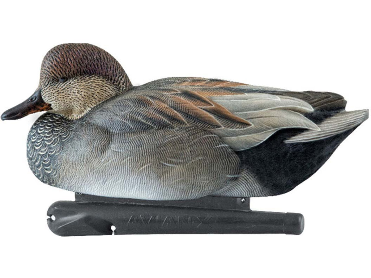 Avian X Topflight Gadwall Decoy AVX-AVX8085
