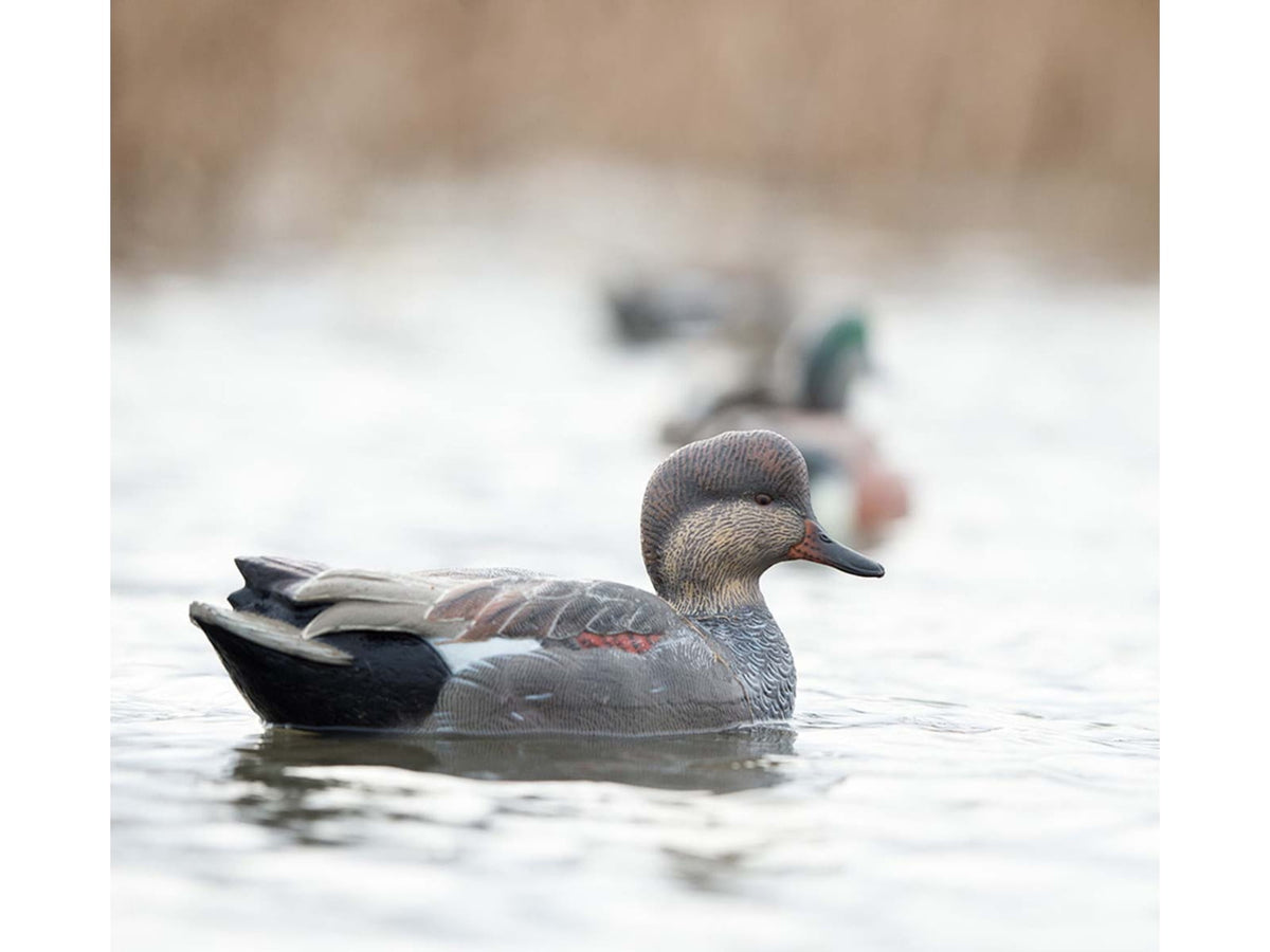 Avian X Topflight Gadwall Decoy AVX-AVX8085