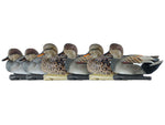 Avian X Topflight Gadwall Decoy AVX-AVX8085
