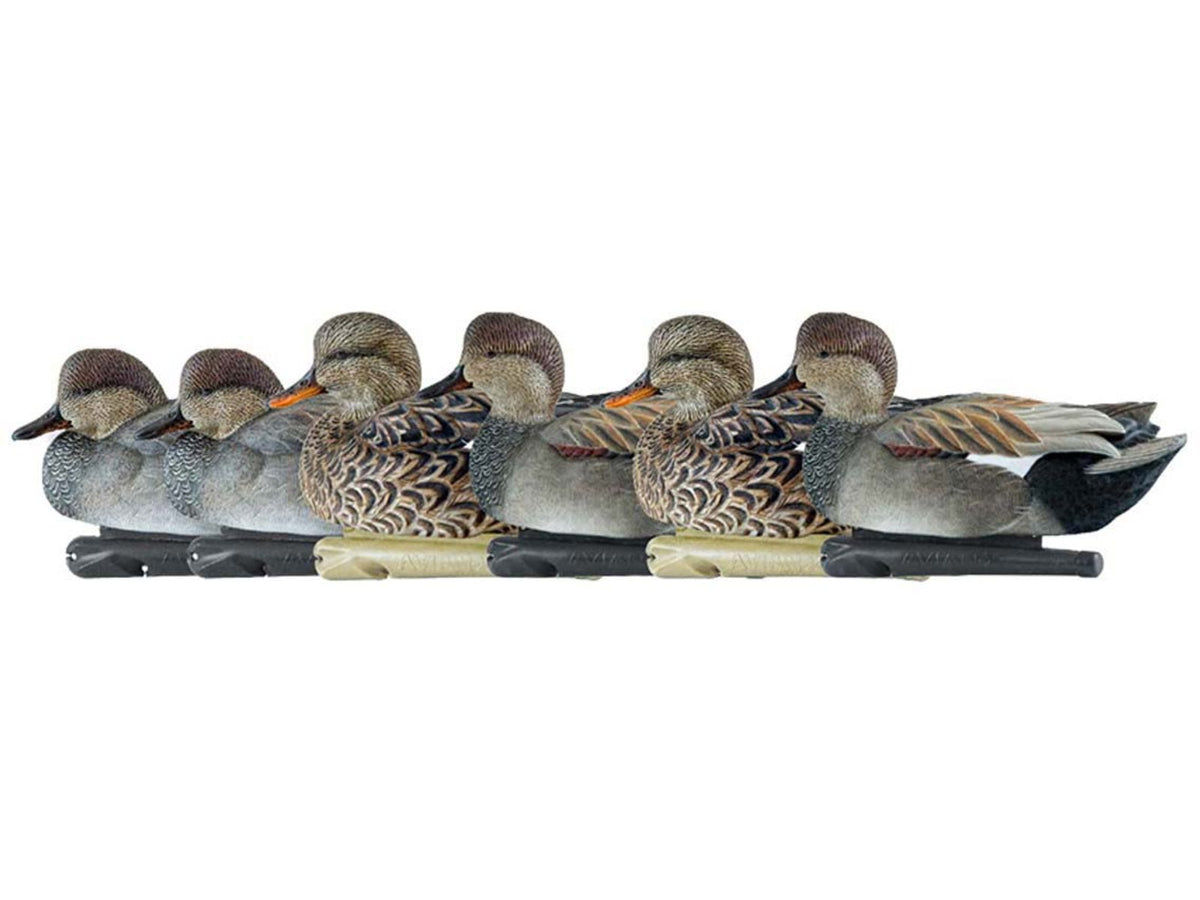 Avian X Topflight Gadwall Decoy AVX-AVX8085