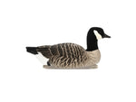 Avian X Topflight Lesser Floaters Black AVX-LCGF-4PK