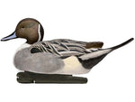 Avian X Topflight Pintails Decoy AVX-AVX8082