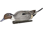 Avian X Topflight Pintails Decoy AVX-AVX8082