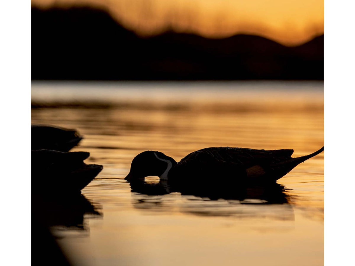 Avian X Topflight Pintails Decoy AVX-AVX8082