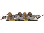 Avian X Topflight Pintails Decoy AVX-AVX8082