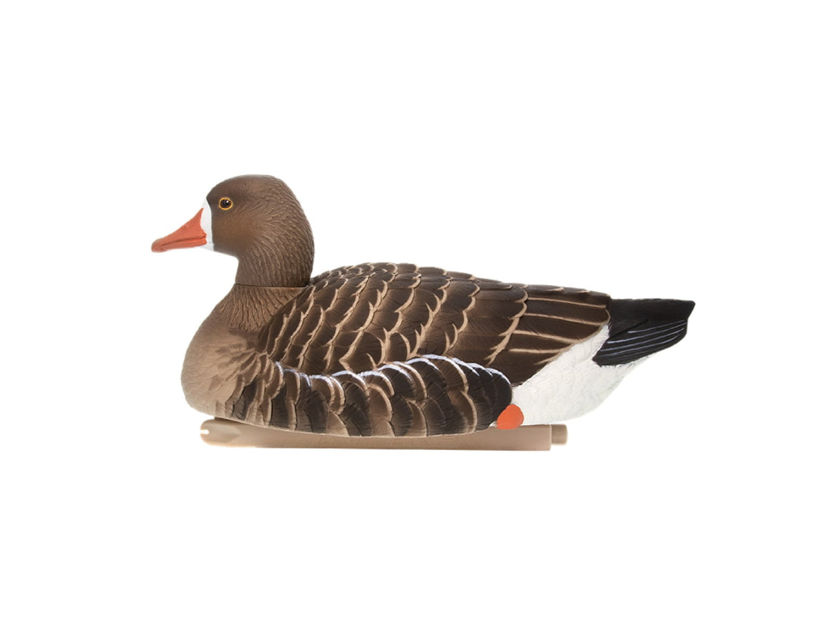 Avian X Topflight Specklebelly Floaters 4 Pack AVX-SBGF-4PK