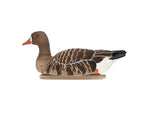 Avian X Topflight Specklebelly Floaters 4 Pack AVX-SBGF-4PK