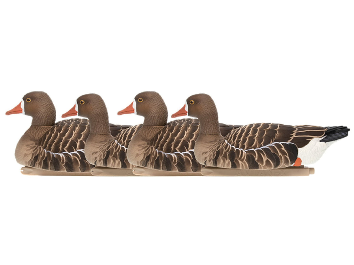 Avian X Topflight Specklebelly Floaters 4 Pack AVX-SBGF-4PK