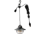 Barebones Edison Pendant Light Antique Bronze LIV-264
