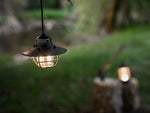 Barebones Edison Pendant Light Antique Bronze LIV-264
