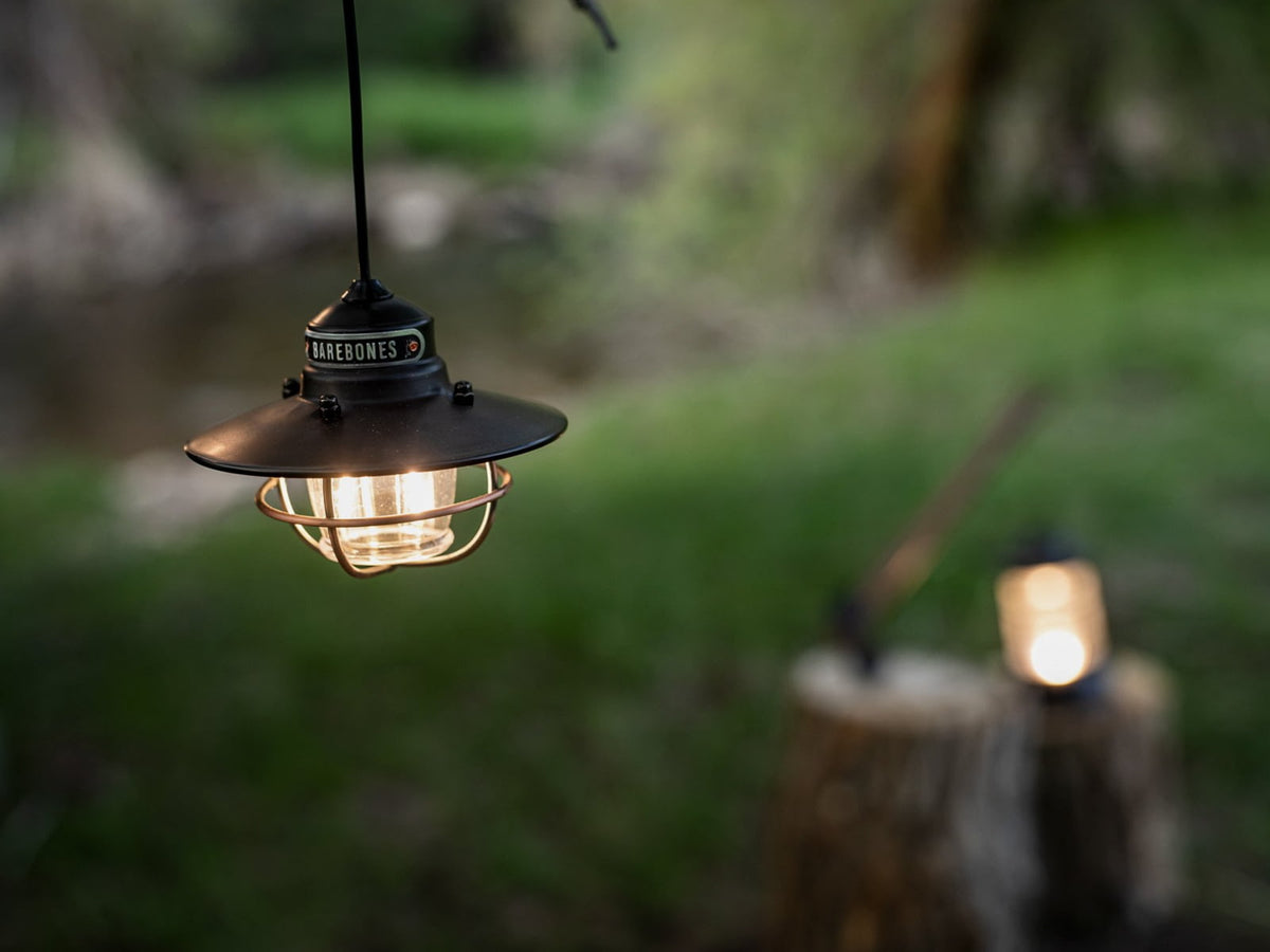 Barebones Edison Pendant Light Antique Bronze LIV-264