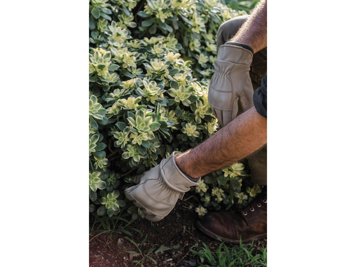 Barebones Kunar Utility Gloves Kunar Utility Gloves Extra Large Clay GDN-653