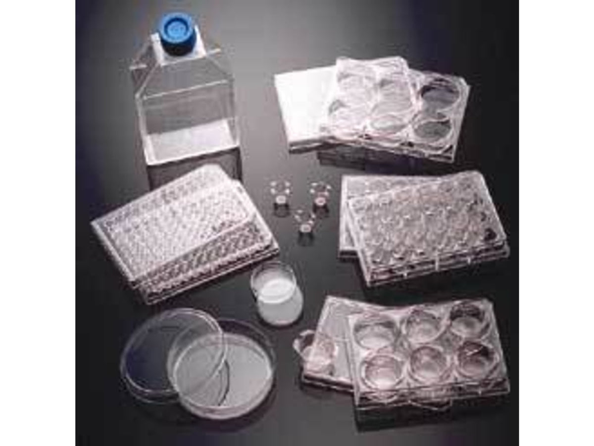 Corning BioCoat Cellware Laminin 354405 Culture Dishes 60 Mm