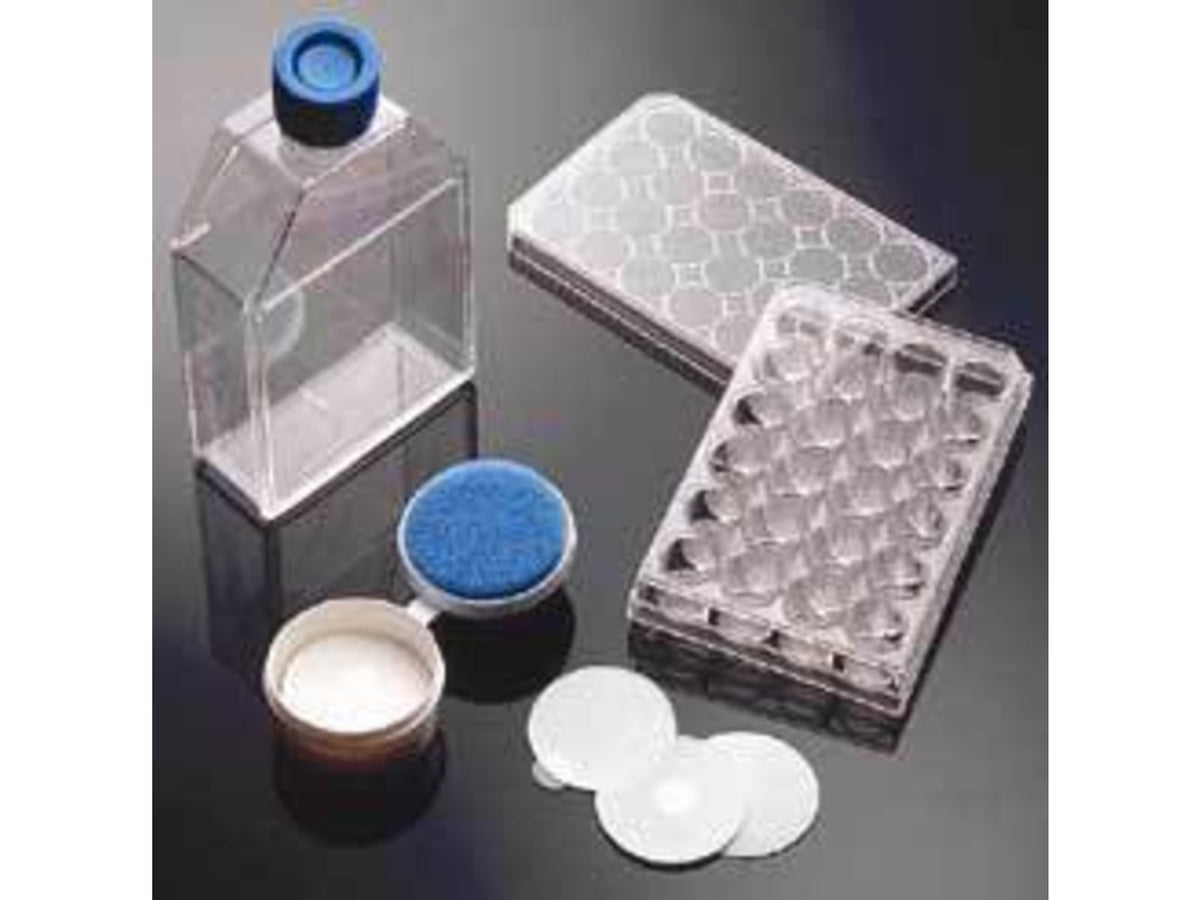 Corning BioCoat Cellware Poly-Lysine 354517