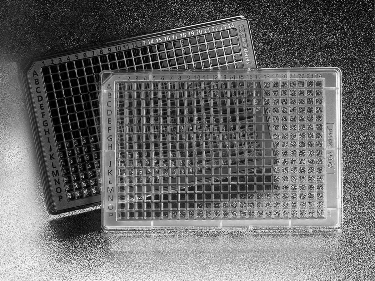 BD Plate Assay 384W 120UL Cl CS50 353961