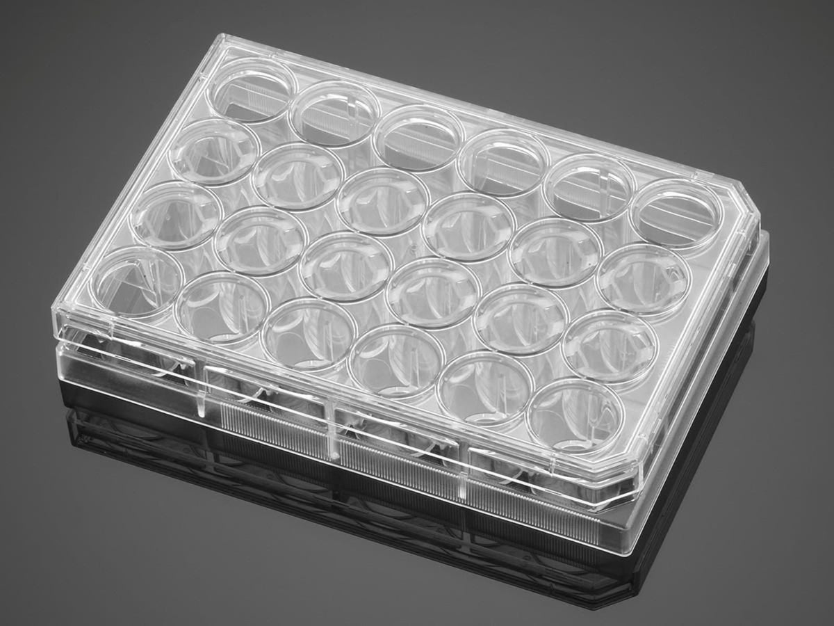 BD Plate Cell Culture 8UG CS24 354578