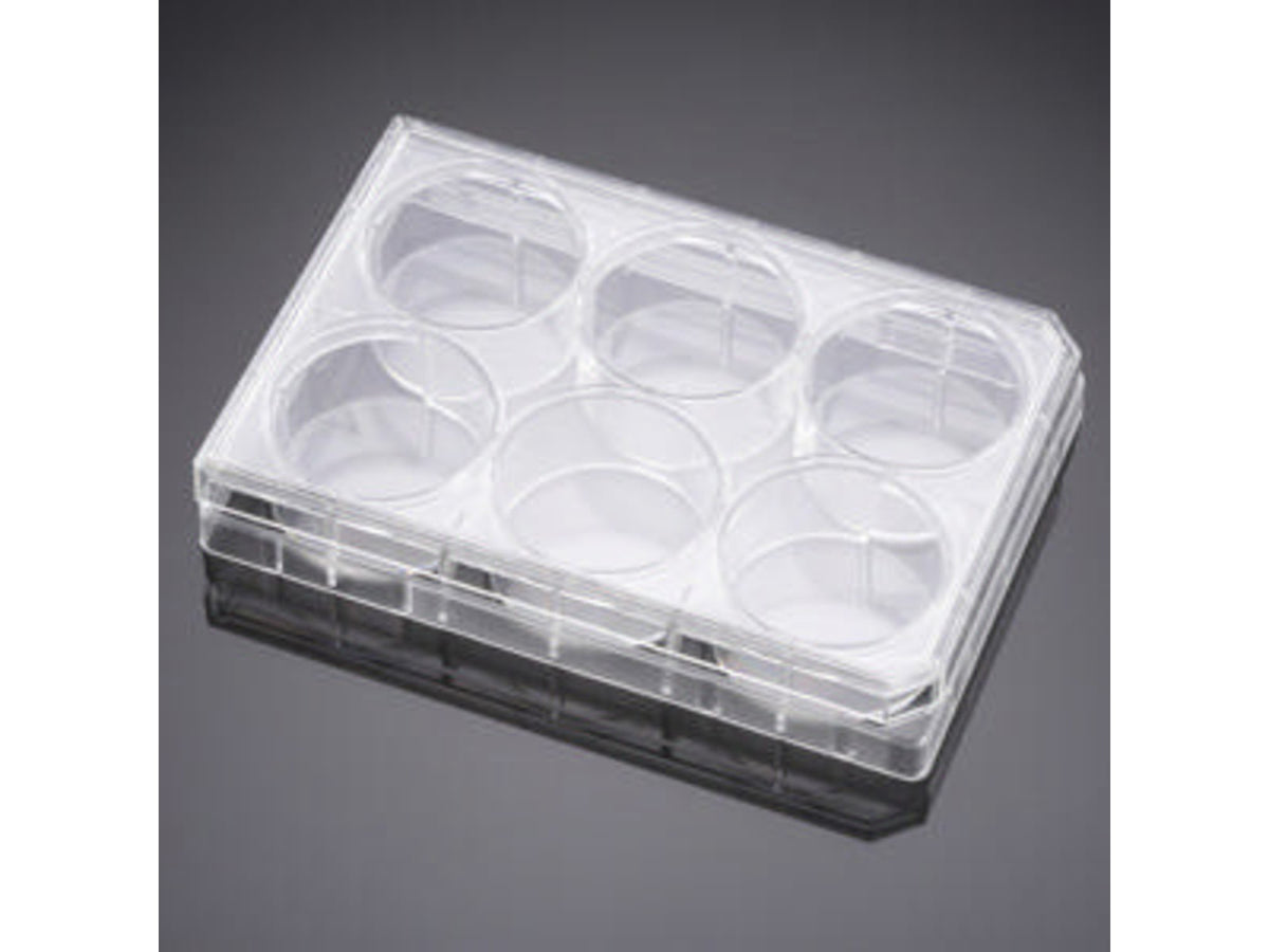 BD Plate Multiwel W/LID 48WL CS50 351178