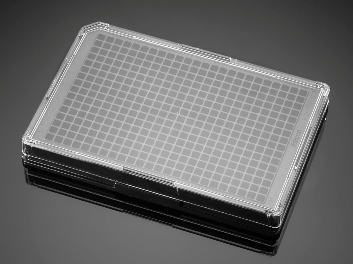 BD Plate Polydlys 384W BK/CL CS80 356697