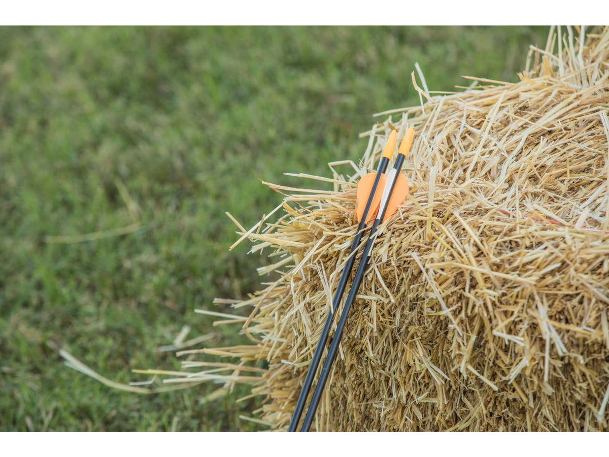 Bear Archery Youth Safetyglass Arrows 28in 3 Pack A1090B