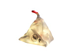 Big Agnes mtnGLO Tent & Camp Lights
