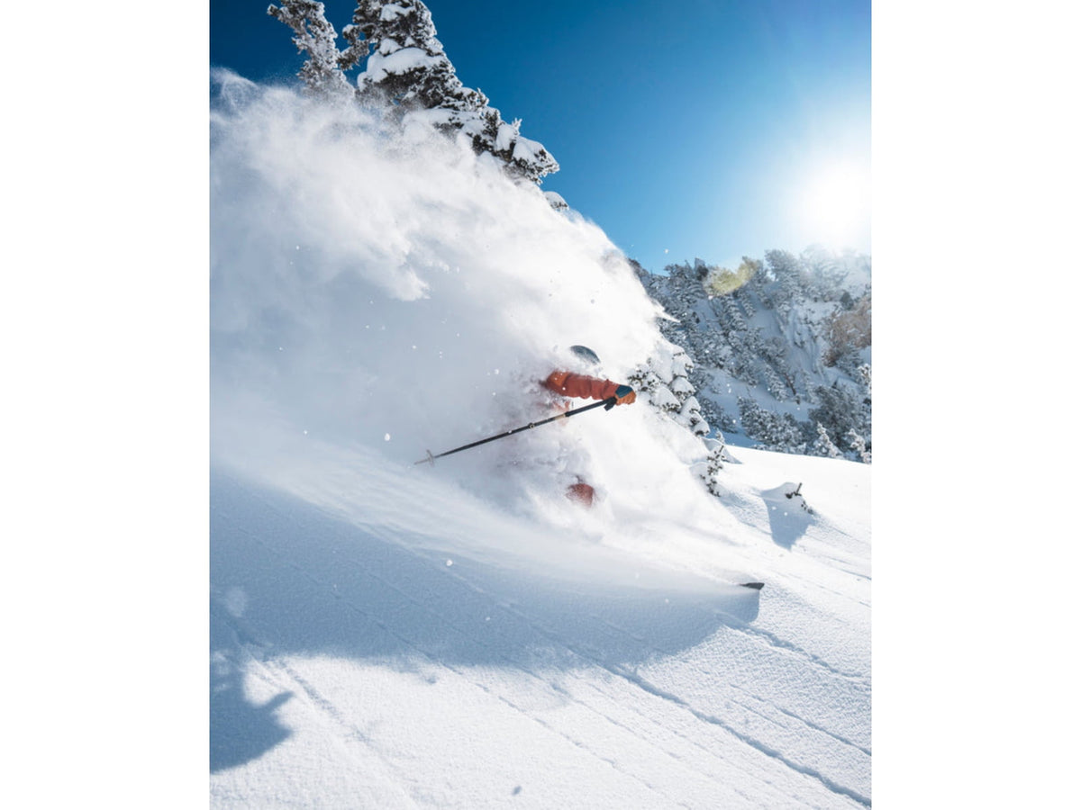 Black Diamond Factor Bibs - Men's
