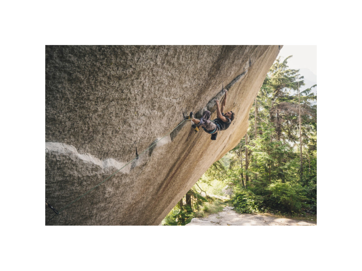 Black Diamond Solution Harness - Men's