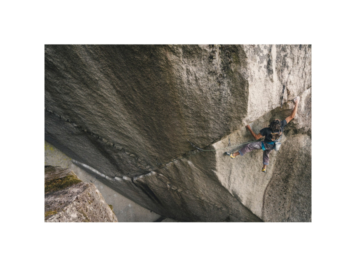 Black Diamond Solution Harness - Men's