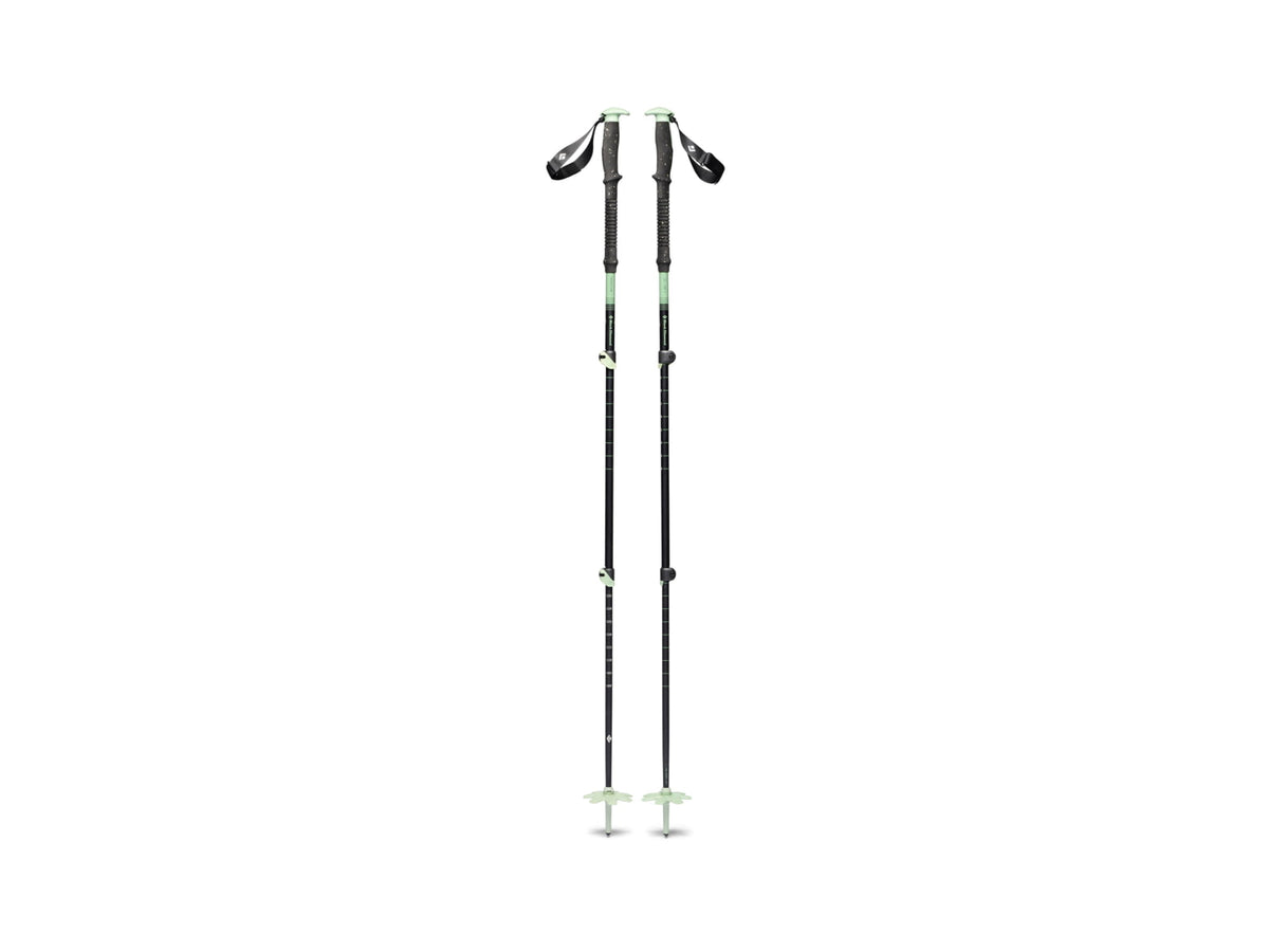 Black Diamond Expedition 3 Ski Poles